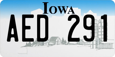 IA license plate AED291