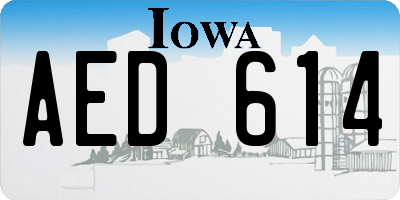 IA license plate AED614