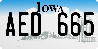 IA license plate AED665