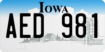 IA license plate AED981