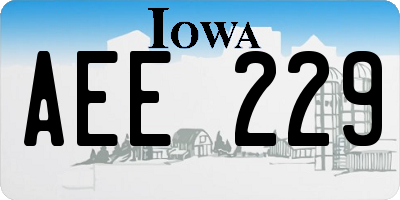 IA license plate AEE229