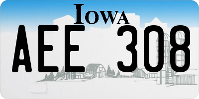 IA license plate AEE308