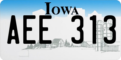 IA license plate AEE313