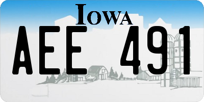 IA license plate AEE491