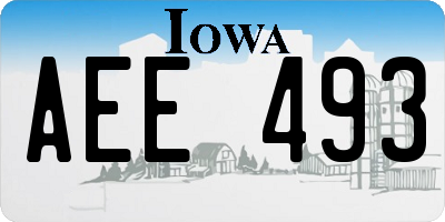 IA license plate AEE493