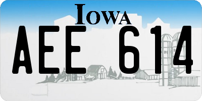 IA license plate AEE614