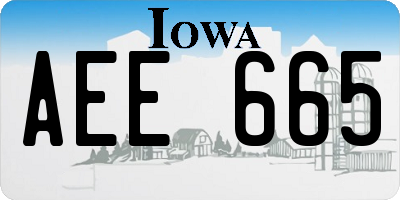 IA license plate AEE665