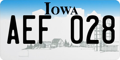 IA license plate AEF028