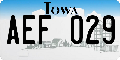 IA license plate AEF029