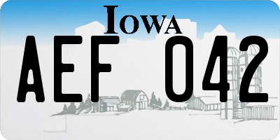 IA license plate AEF042