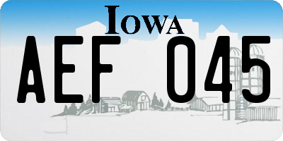 IA license plate AEF045