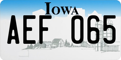 IA license plate AEF065