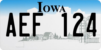 IA license plate AEF124