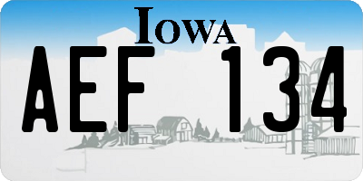 IA license plate AEF134