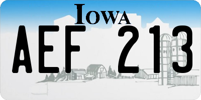 IA license plate AEF213