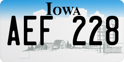 IA license plate AEF228