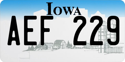 IA license plate AEF229