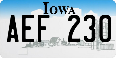 IA license plate AEF230