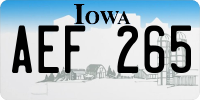 IA license plate AEF265