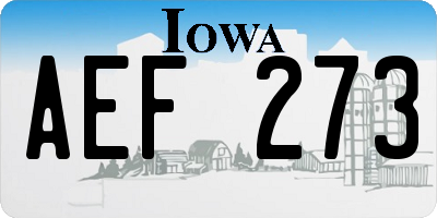 IA license plate AEF273
