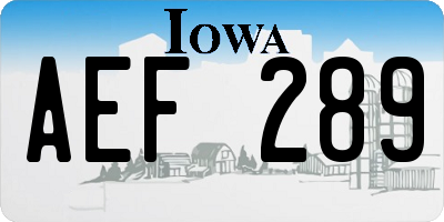 IA license plate AEF289
