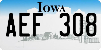 IA license plate AEF308