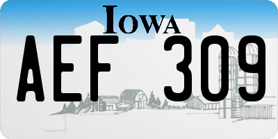 IA license plate AEF309