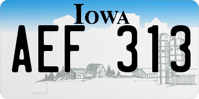IA license plate AEF313