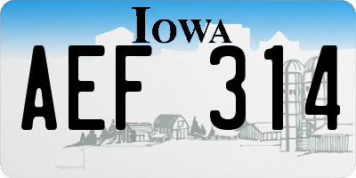 IA license plate AEF314