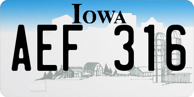 IA license plate AEF316