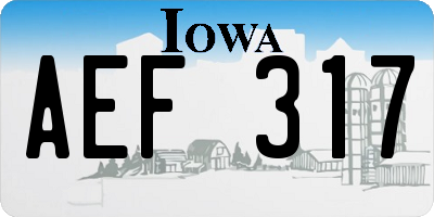 IA license plate AEF317