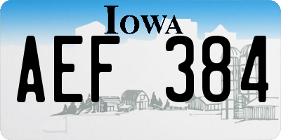 IA license plate AEF384