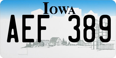 IA license plate AEF389