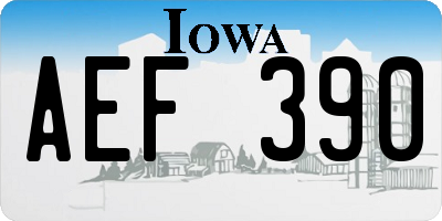 IA license plate AEF390