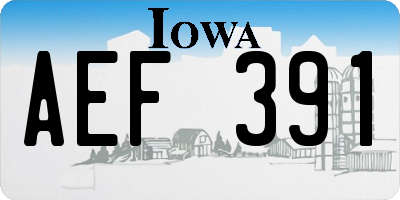 IA license plate AEF391