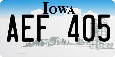 IA license plate AEF405