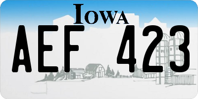 IA license plate AEF423