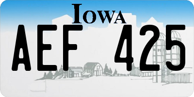 IA license plate AEF425