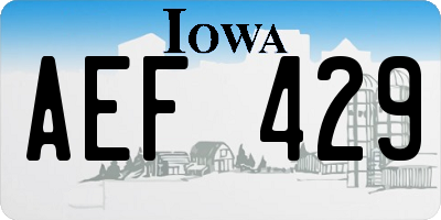IA license plate AEF429