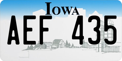 IA license plate AEF435