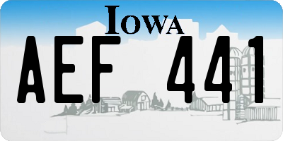 IA license plate AEF441