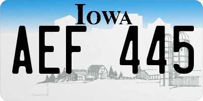 IA license plate AEF445