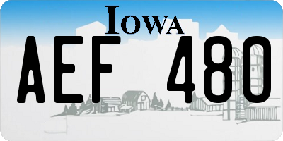 IA license plate AEF480