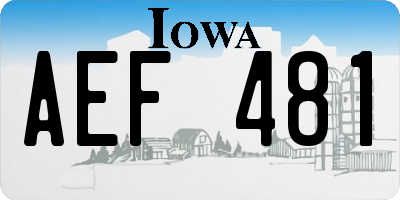 IA license plate AEF481