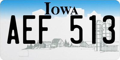 IA license plate AEF513