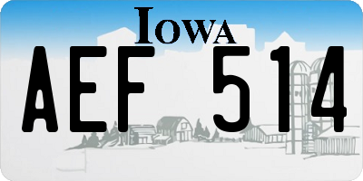 IA license plate AEF514