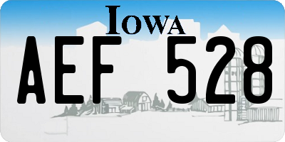 IA license plate AEF528