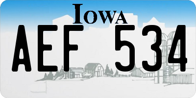 IA license plate AEF534