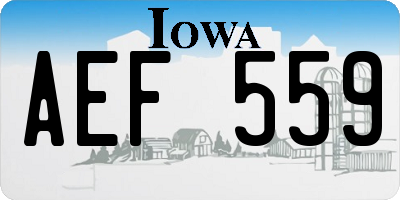 IA license plate AEF559