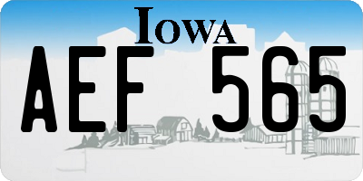 IA license plate AEF565